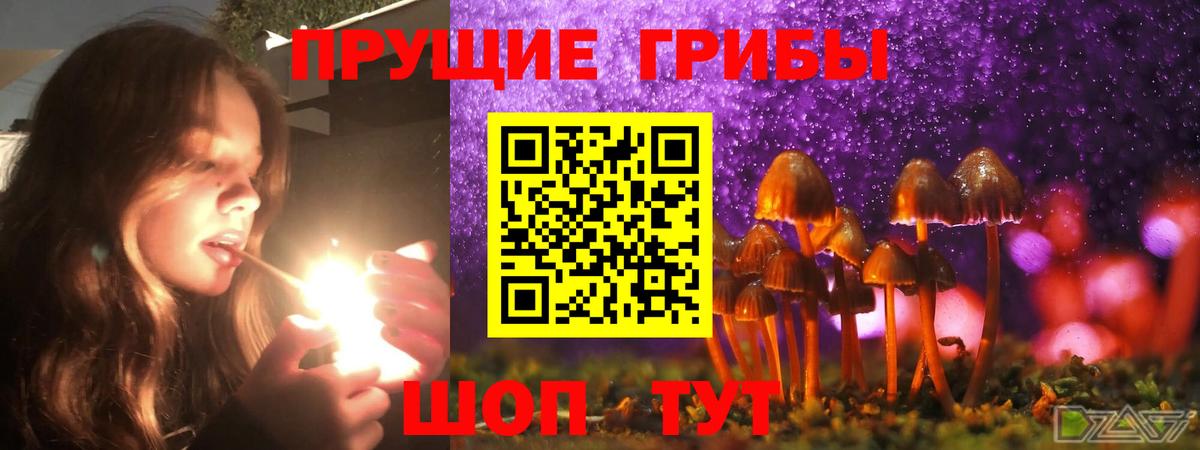 Озёрск  Псилоцибиновые грибы Cubensis  что такое наркотик  Вход с VPN 